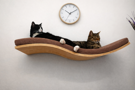 Wall Mounted Cat Bed | Modern Cat Wall Furniture