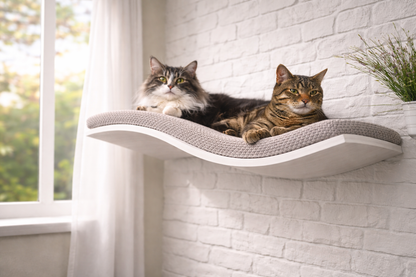 Wall Mounted Cat Bed | Modern Cat Wall Furniture