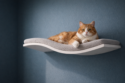 Wall Mounted Cat Bed | Modern Cat Wall Furniture