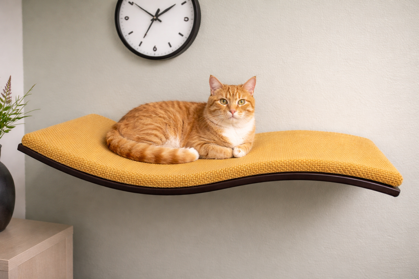 Wall Mounted Cat Bed | Modern Cat Wall Furniture