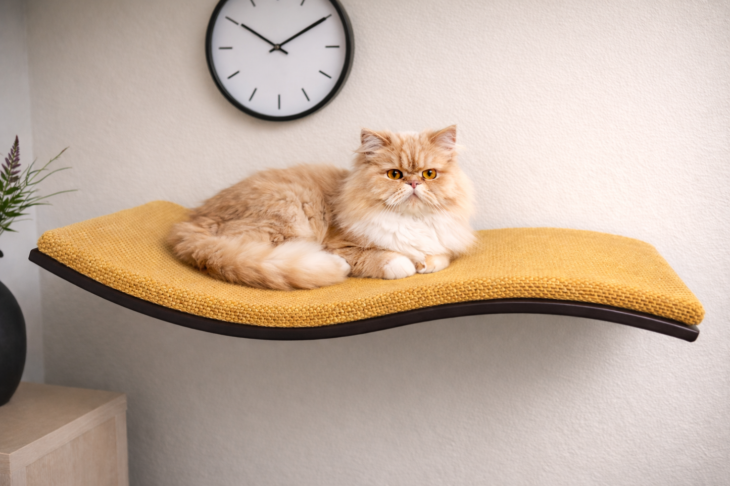Wall Mounted Cat Bed | Modern Cat Wall Furniture