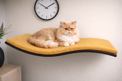 Wall Mounted Cat Bed | Modern Cat Wall Furniture