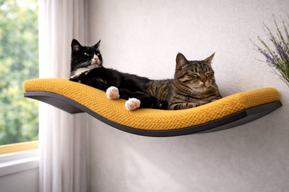 Wall Mounted Cat Bed | Modern Cat Wall Furniture