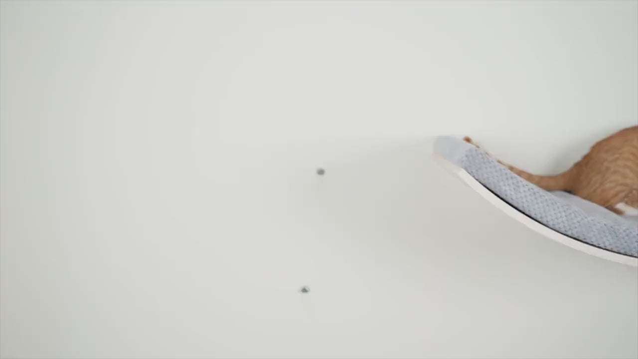 Load video: Wall Mounted Cat Bed
